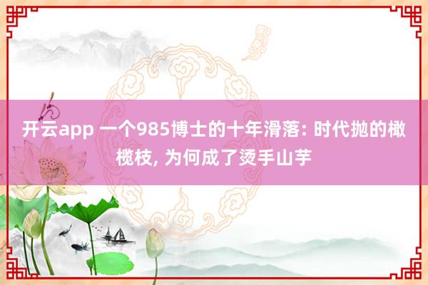 开云app 一个985博士的十年滑落: 时代抛的橄榄枝, 为何成了烫手山芋