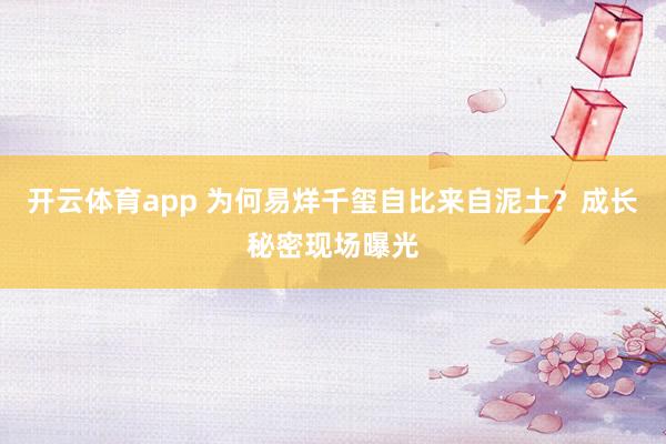 开云体育app 为何易烊千玺自比来自泥土？成长秘密现场曝光