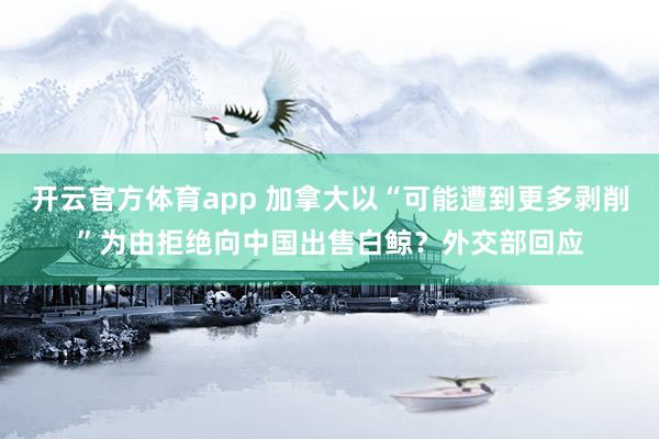 开云官方体育app 加拿大以“可能遭到更多剥削”为由拒绝向中国出售白鲸？外交部回应