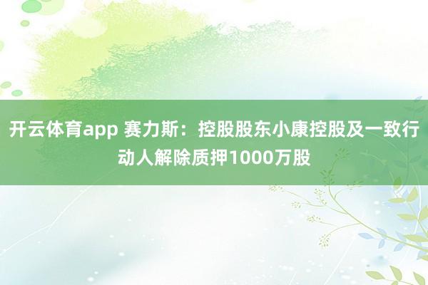 开云体育app 赛力斯：控股股东小康控股及一致行动人解除质押1000万股