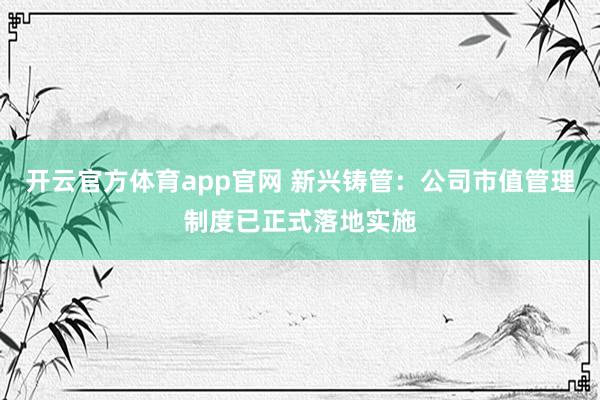 开云官方体育app官网 新兴铸管：公司市值管理制度已正式落地实施