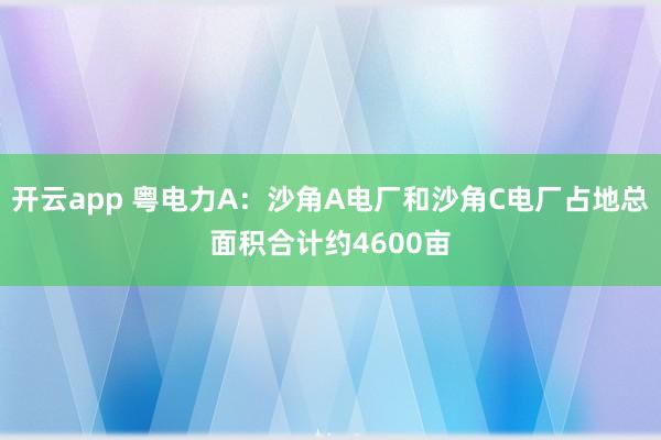 开云app 粤电力A：沙角A电厂和沙角C电厂占地总面积合计约4600亩