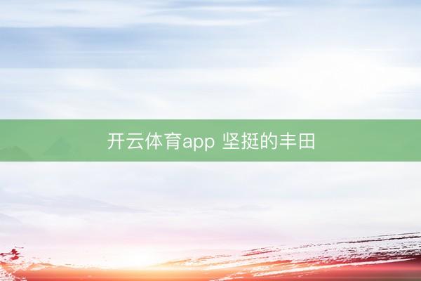 开云体育app 坚挺的丰田