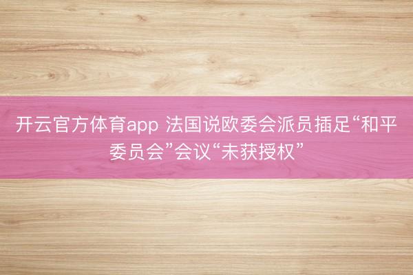 开云官方体育app 法国说欧委会派员插足“和平委员会”会议“未获授权”