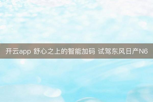 开云app 舒心之上的智能加码 试驾东风日产N6